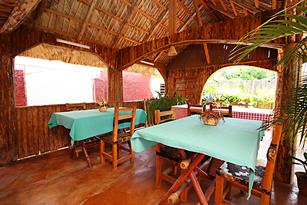 Apartment Royal | apartment in vinales | bed and breakfast | guest house |
cuba